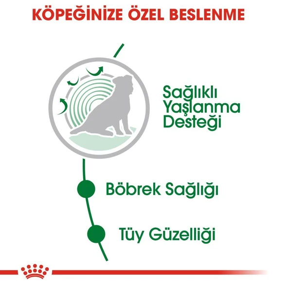 Royal Canin Gravy Ageing +12 Köpek Maması 85 Gr - 5