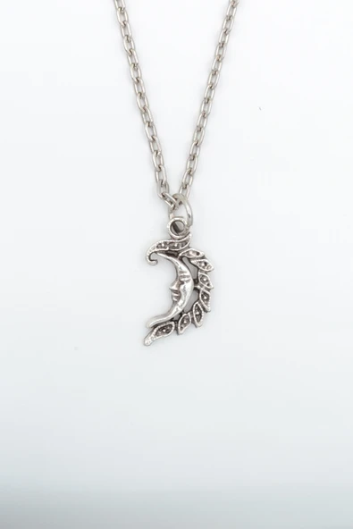 Minimal Ay Dede Gümüş Kaplama Düz Zincir Kolye ürün görseli 1