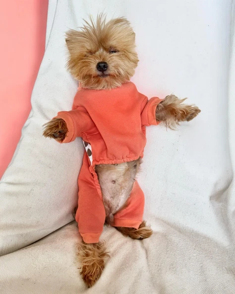 Puanti Kalın Penye Köpek Tulum Pijama - 4