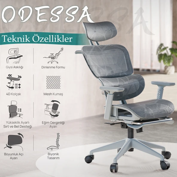 Odessa Fonksiyonel Çalışma Koltuğu - 2