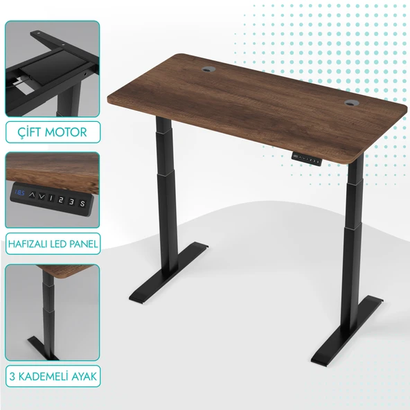 O-Flex Duo Çift Motorlu Elektrikli Yükseklik Ayarlı Masa - 120x60 - Barok ürün görseli 1