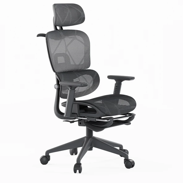 Odessa Fonksiyonel Çalışma Koltuğu - 4