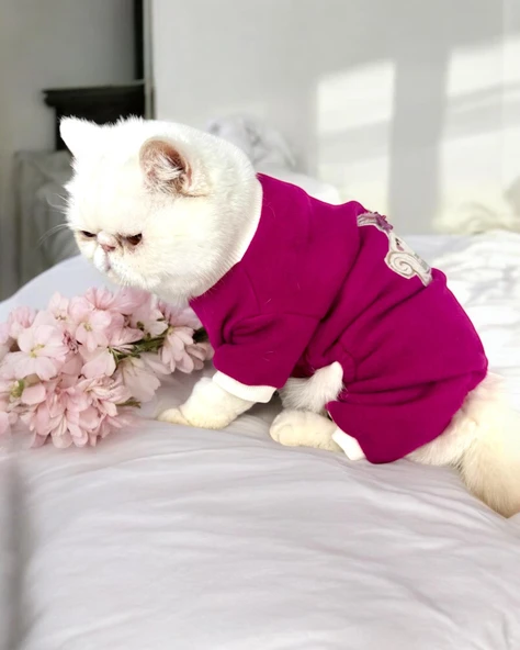 Foxie Polar Kedi Tulum Pijama - 5