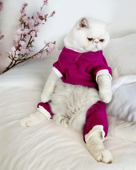 Foxie Polar Kedi Tulum Pijama
