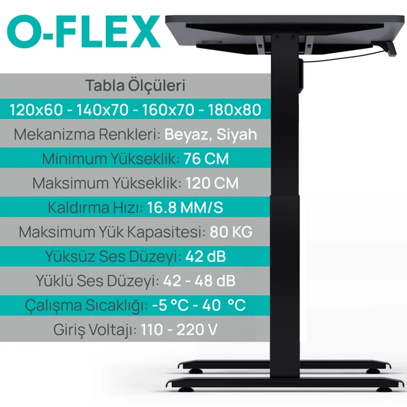 O-Flex Tek Motorlu Elektrikli Yükseklik Ayarlı Masa - 160x80 - Pasifik Mavi - 3