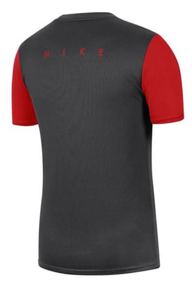 Nike M Dry Acdpr Top Ss Erkek Tişört BV6926-078 - 2