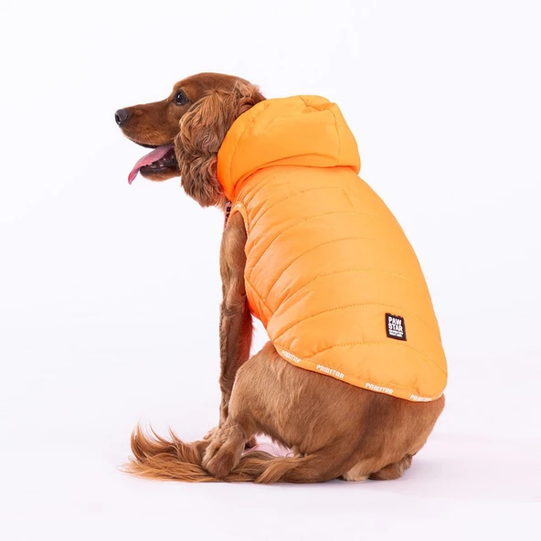 Pawstar Neon Orange Railway Vest Köpek Montu 2XLarge 38x43x58 cm - 2