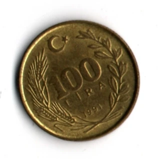 T.C. 100 Lira 1991 (mp1916) - 2
