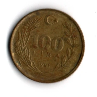 T.C. 100 Lira 1991 (mp1920) - 2