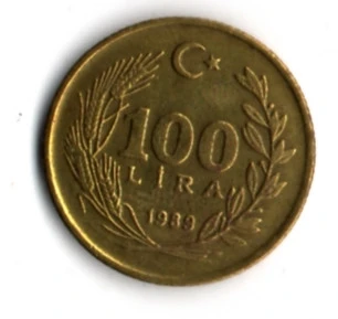 T.C. 100 Lira 1989 (mp1924) - 2