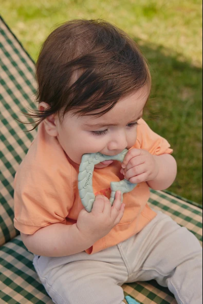 Kalp Diş Kaşıyıcı Yeşil - Resim 3