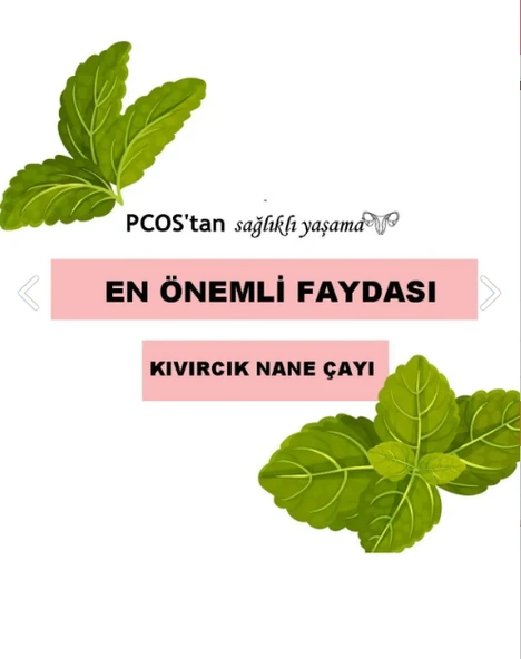 sarıbelen Kıvırcık Nane Çayı Spearmint Tea 45 g 30 Süzen Poşet - 5