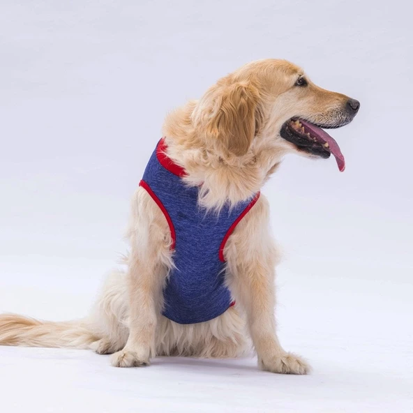 Pawstar Navy Blue Summer Time Büyük T-shirt 6XLarge  55X69X86 CM - 3