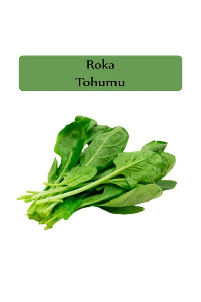 Roka Tohumu 1 Paket Kapalı Paket Yüksek Verimli Tohum Roka Bitki Tohumu