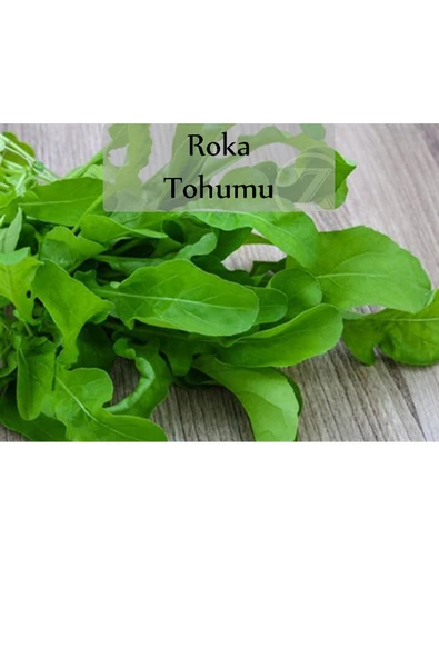 Roka Tohumu 1 Paket Kapalı Paket Yüksek Verimli Tohum Roka Bitki Tohumu - 2