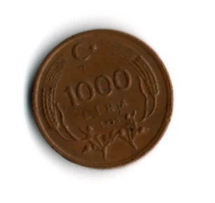 T.C. 1000 Lira 1995 (mp1929) - Resim 2