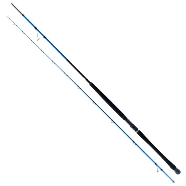 Ryuji Shore Game Fuji 2.85m 25-85gr 2P Shore Jig Olta Kamışı ürün görseli 1