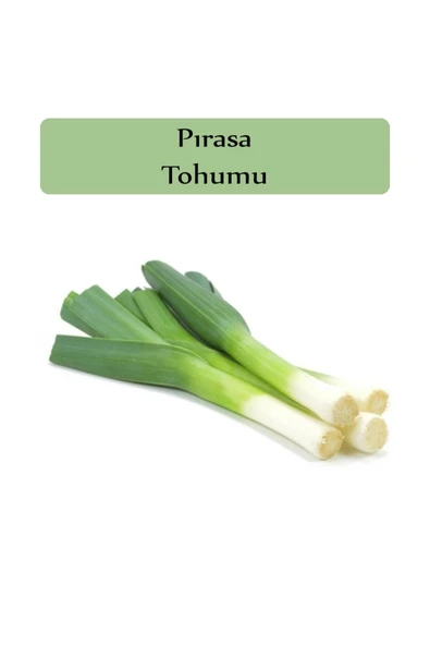 Pırasa Tohumu 1 Paket Inegöl Pırasa Tohumu Kapalı Paket Yüksek Verimli Tohum Prasa
