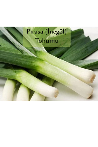 Pırasa Tohumu 1 Paket Inegöl Pırasa Tohumu Kapalı Paket Yüksek Verimli Tohum Prasa - Resim 2