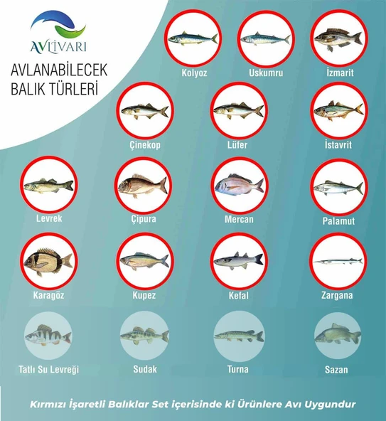 Highcarbon 300 Cm Blue Bl-5000   Tatlı Su- Tuzlu su  Tam Takım Lüx Usta Profesyonel Hobi Deniz ve Göl Olta Seti - Resim 6