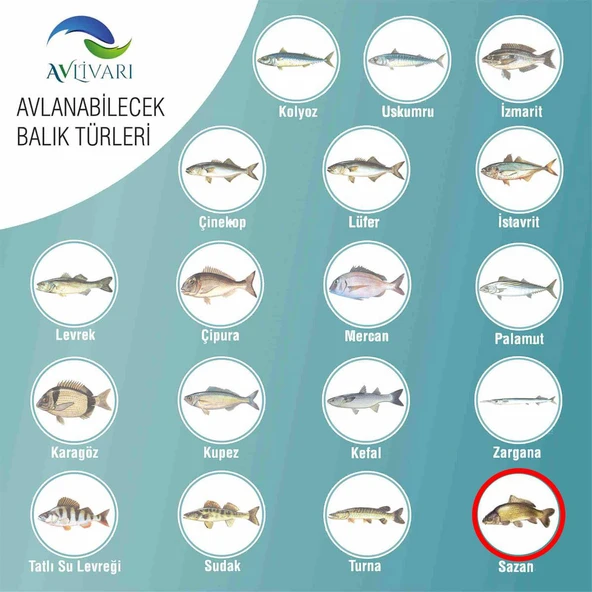 HightCarbon 300 Cm Blue Bl-5000 Tam Takım Lüx Usta Profesyonel Hobi Sazan Balığı Avı Olta Seti - 5