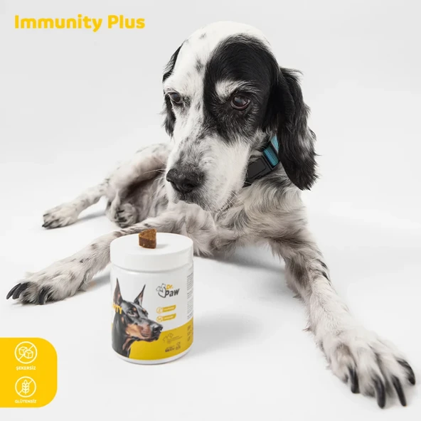 Immunity Plus: Köpekler İçin Glütensiz ve Şekersiz Bağışıklık Sistemi Destekleyici Çiğnenebilir Tablet (120 gr) - 2