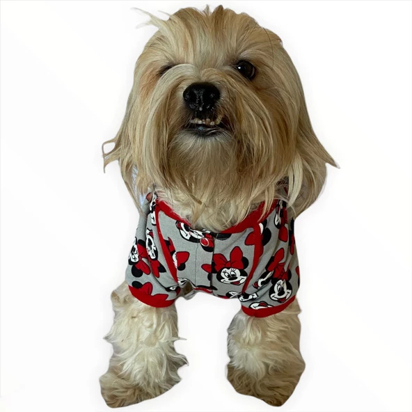 Red Mickey İnce Köpek Ceketi,Kıyafeti,Elbisesi - 6