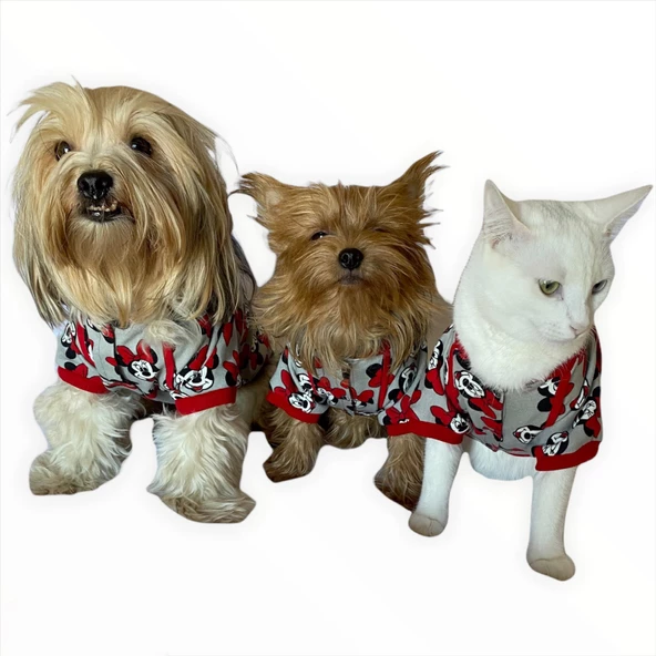 Red Mickey İnce Kedi Ceketi Kedi Kıyafeti Kedi Elbisesi Kedi Modası - Resim 7