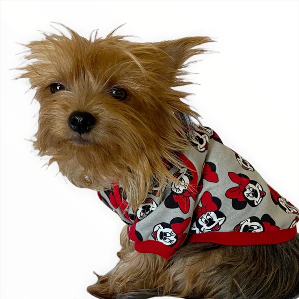 Mickey Red İnce Köpek Ceketi,Kıyafeti,Elbisesi - 3