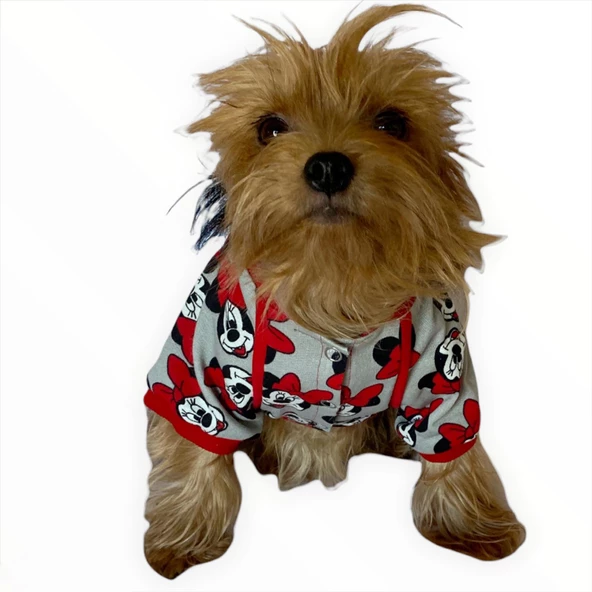 Mickey Red İnce Köpek Ceketi,Kıyafeti,Elbisesi - 2