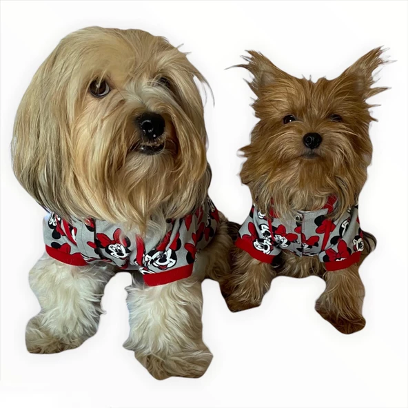 Mickey Red İnce Köpek Ceketi,Kıyafeti,Elbisesi - 6