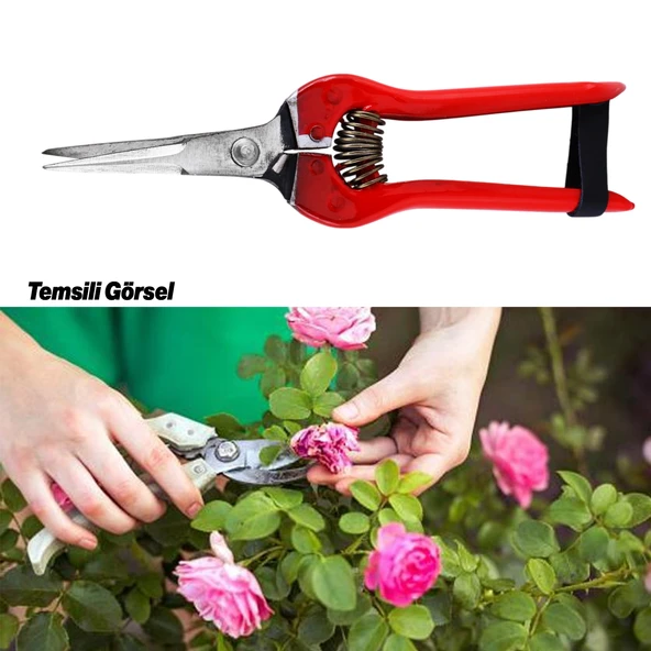 Sivri Narenciye Makası Bahçe Bitki Çiçek Gül Ağaç Üzüm Çıbık Dal Bağ Budama Kesme Bıçkı Makas 20 cm - 3
