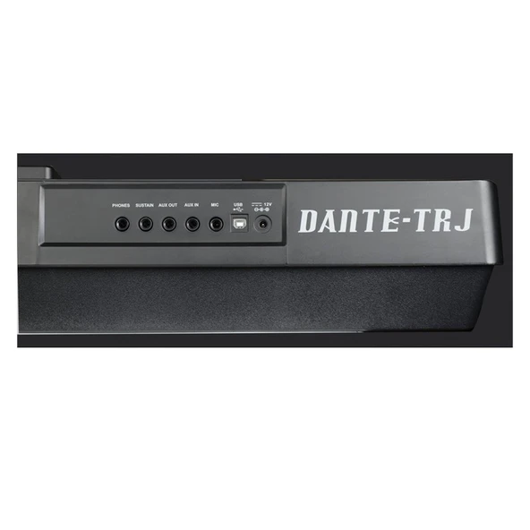 Medeli Dante TR-J V2 Türk Ritimli Org - Resim 3