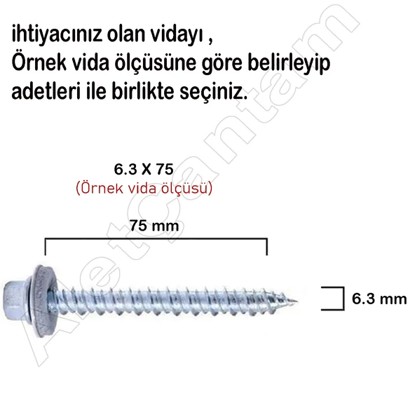 6.3x75 mm Betofast Vida Sivri Uçlu Çatı Panel Beton Ağaç Vidası -50 Adet - 2