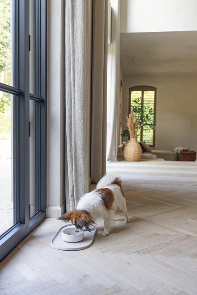 Beeztees DBL Köpek Mama Su Kabı, Bambu, Bej, 14cm, 410ml ürün görseli