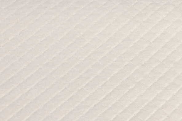 Beeztees Yavru Köpek Çiş Eğitim Pedi, M, 15Adet, 60x60cm - 4