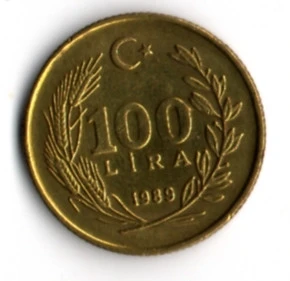 T.C. 100 Lira 1989 (mp1964) - Resim 2