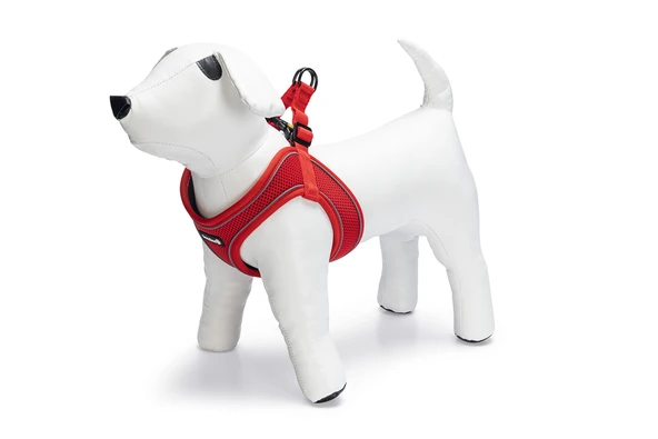 Beeztees Köpek Göğüs Tasması, Neopren, Kırmızı, S, 38-44cm