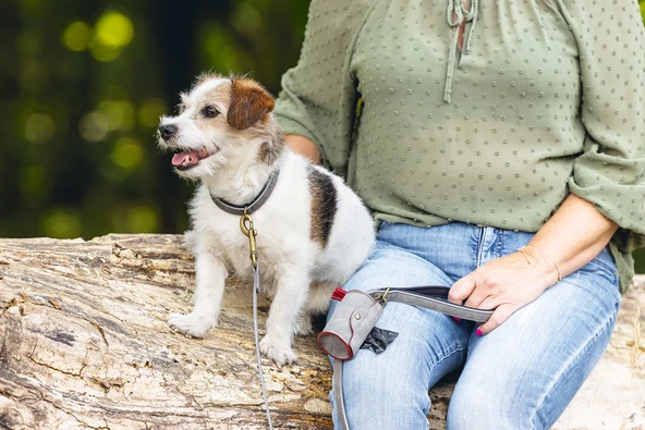 Beeztees Köpek Dışkı Toplama Poşeti Taşıma Çantası, Gri, 8x5x5cm - Resim 3