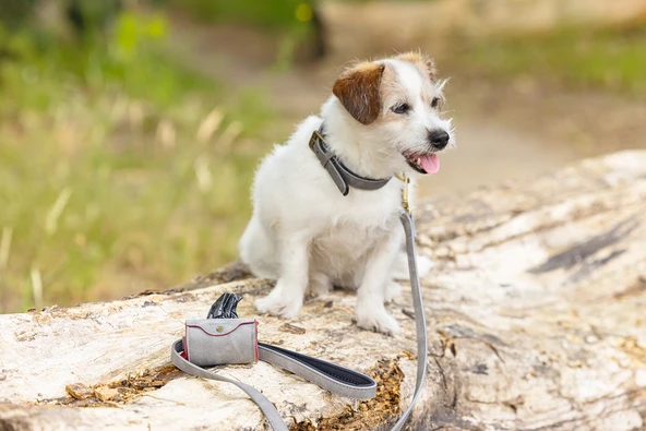 Beeztees Köpek Dışkı Toplama Poşeti Taşıma Çantası, Gri, 8x5x5cm - Resim 4