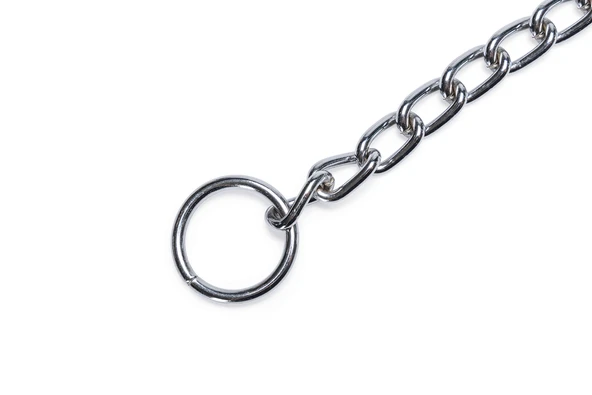 Beeztees Köpek Boyun Tasması, Zincir, 70x1x0,30cm - Resim 4