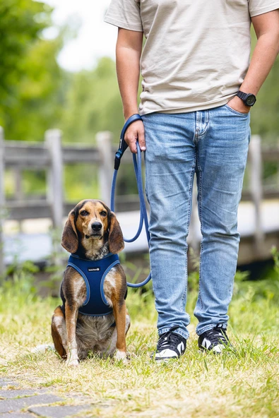 Beeztees Köpek Göğüs Tasması, Neopren, Mavi, M, 41-46cm - Resim 6