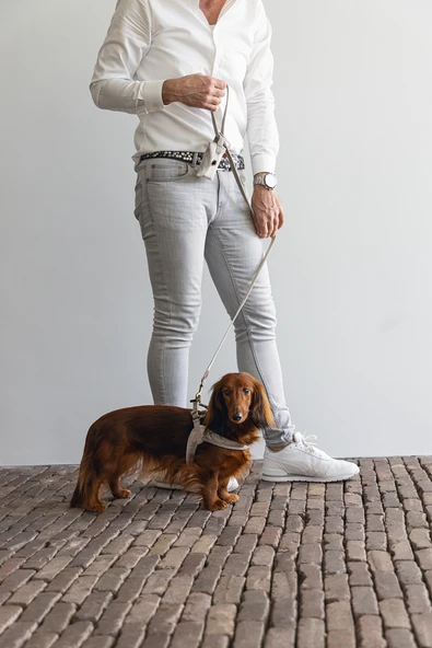 Beeztees Köpek Göğüs Tasması, Neopren, Mavi, S, 38-44cm - 6