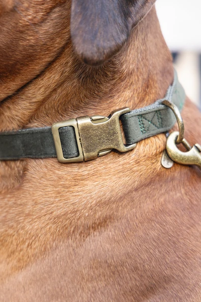 Beeztees DBL Köpek Tasması, Kadife, Nefti, 48-70cm, 25mm - Resim 4