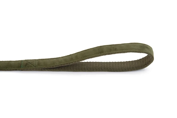 Beeztees DBL Köpek Gezdirme Kayışı, Velura, Yeşil, 120cm, 20mm - Resim 2