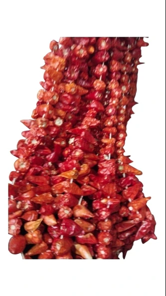 Kurutulmuş Acı Arnavut Biberi 1 Dizi (95-100 Adet)