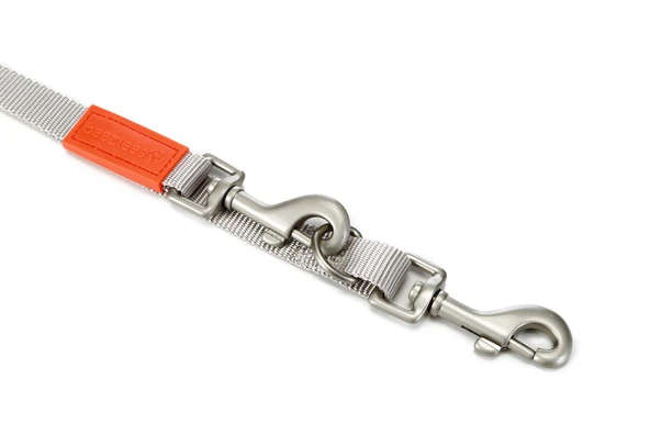 Beeztees Köpek Gezdirme Kayışı, Açık Gri, 120cm, 20mm - Resim 2