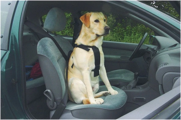 Beeztees Köpek Araç İçi Göğüs Tasması, Siyah, 75-100cm Göğüs Çapı, 25mm - Resim 2