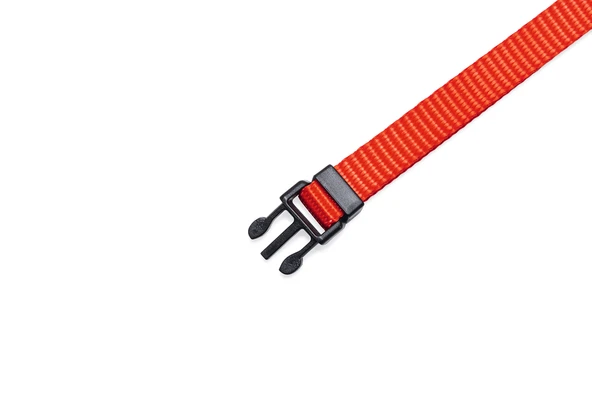 Beeztees Yavru Köpek Boyun Tasması, Çeşitli Renklerde, 22-35cm, 10mm - Resim 5