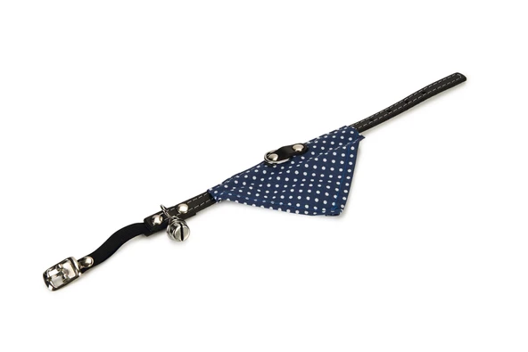 Beeztees Kedi Boyun Tasması, Bandanalı, Zilli, Mavi, 24-29cm ürün görseli